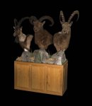 Ibex and Tur Pedestal